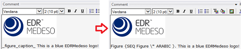 formatCaption